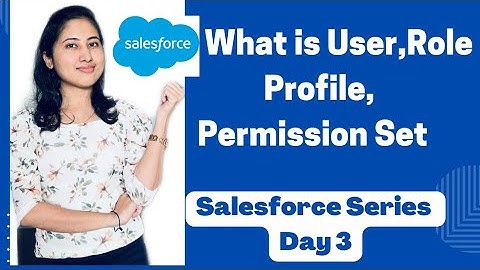 What is User, Profile, Permission set in Salesforce? Difference between Profile & Permission Set
