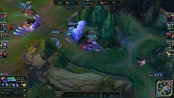 Skarner bug