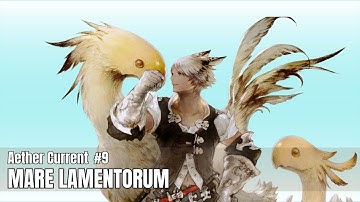 Final Fantasy XIV | Mare Lamentorum Aether Current 9