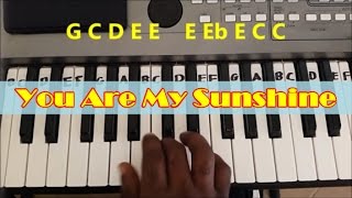 You Are My Sunshine Easy Piano Keyboard Tutorial (Right Hand) chords