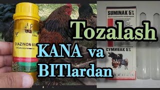 Elena Berkova porno onlayn