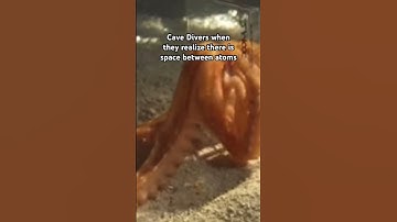 A Cave Diver With A Wife and Kids #cavediver #memes #shorts
