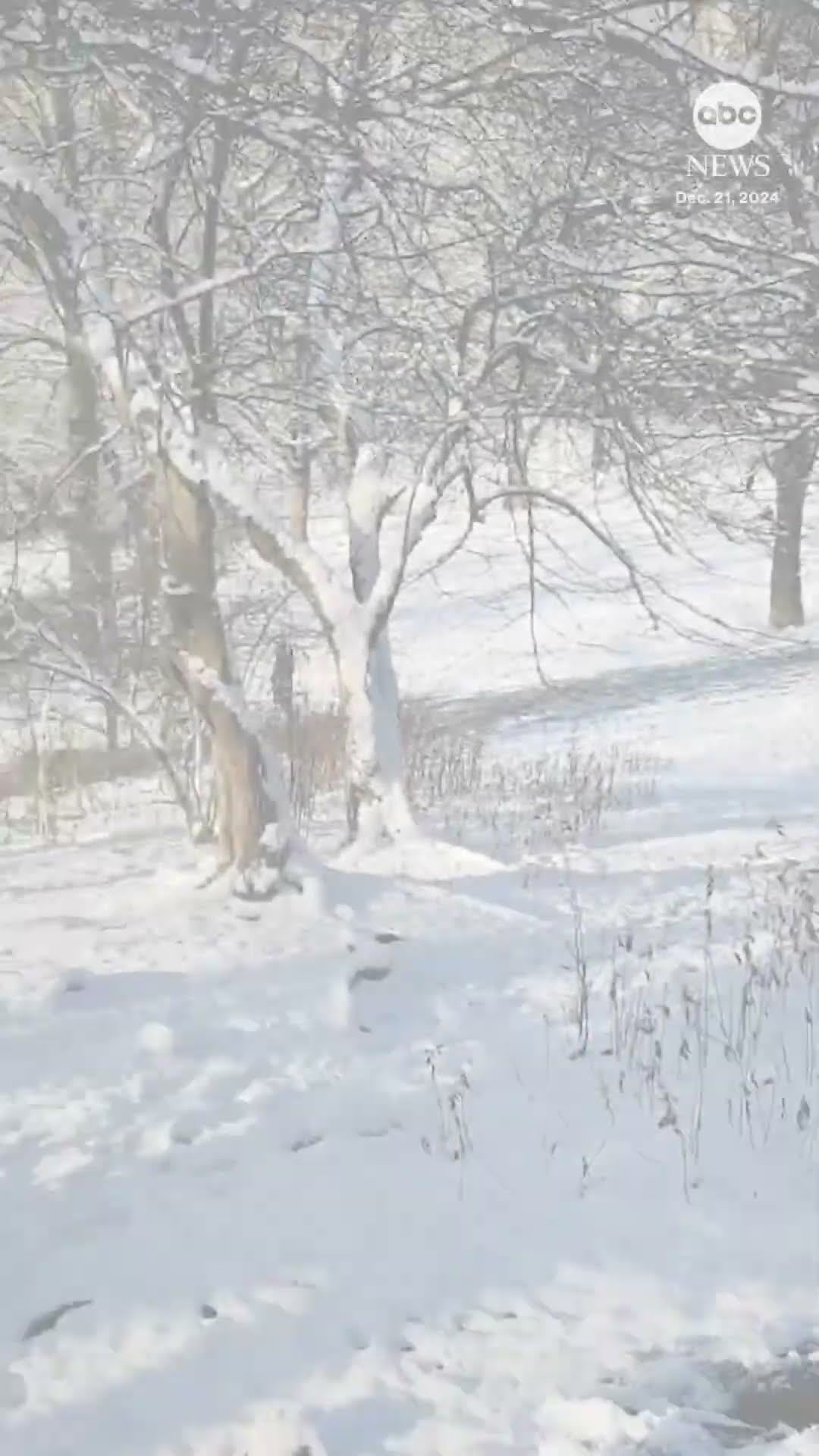 NYC sees snow on 1st official day of winter