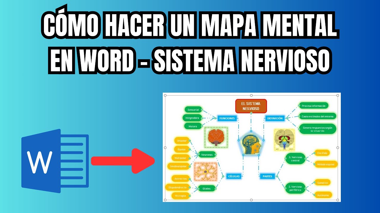 Cómo hacer un mapa mental en Word paso a paso - Sistema Nervioso - YouTube