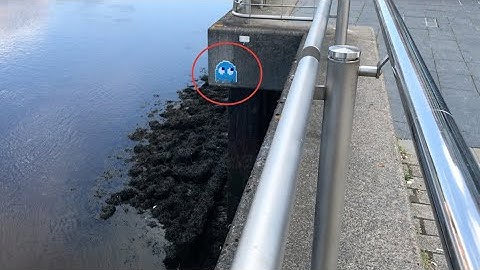 Finding Pixelated Street Art by Invader