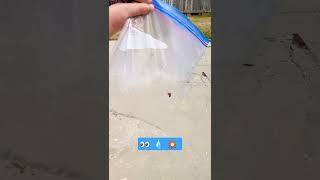 Bag Explosion 💥💧