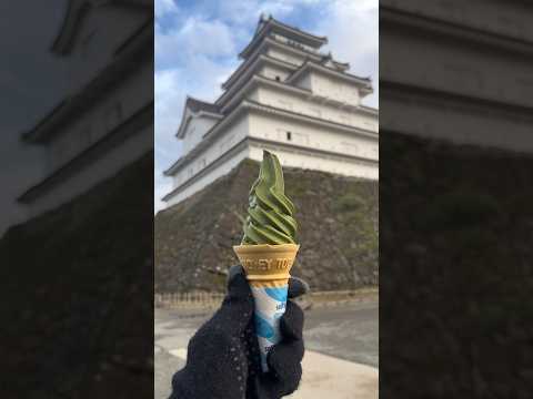 Matcha Icecream anyone? 🍦🏯Stunning Japanese Samurai Castle View #risesan_ #japan