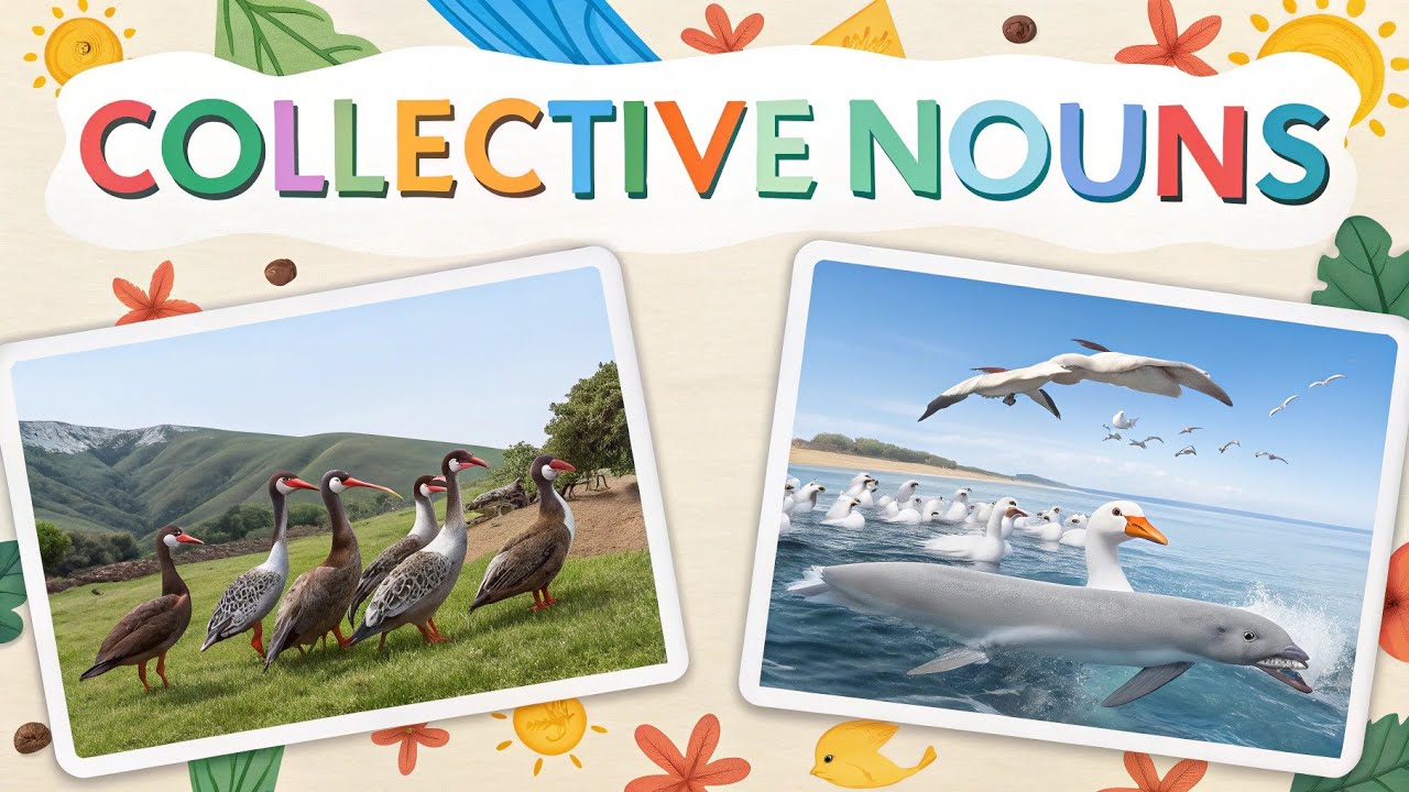 (Urdu Translated) Collective Noun Lock down Free English Classes 6