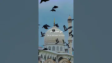ماهر زين قلبي في المدينه بدون ايقاع ترند اكسبلور Explore تصميمي بدون ايقاع 