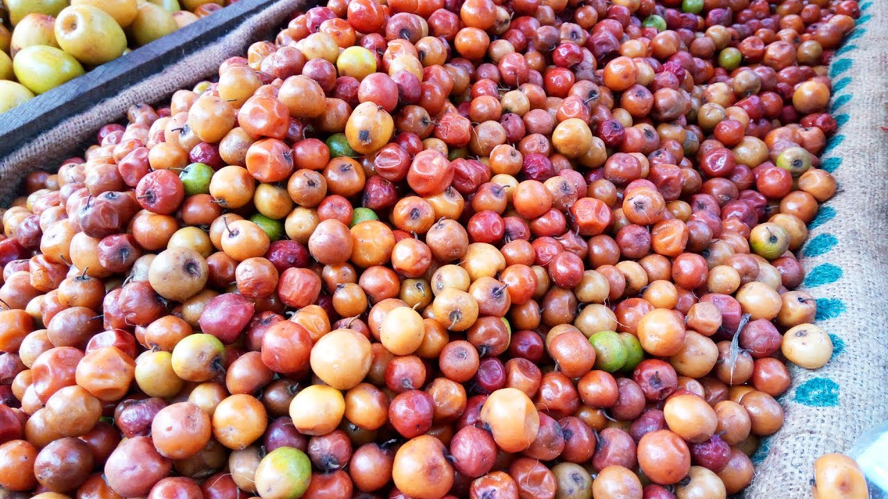 Seasonal Fruits | Plum | Guava | Jujebi | Moor | Indian Street Food | Healty Fruits | Street Food Zone