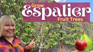 Espalier Fruit Trees for Small Yards | How Much Fruit will they Produce by Tinagirl Life 324 views 1 year ago 3 minutes, 57 seconds