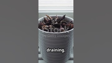 Do You Know What’s Stopping Your Success? Your Comfort Zone!