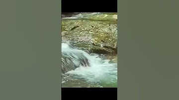 مطلوب اسم القارئ
