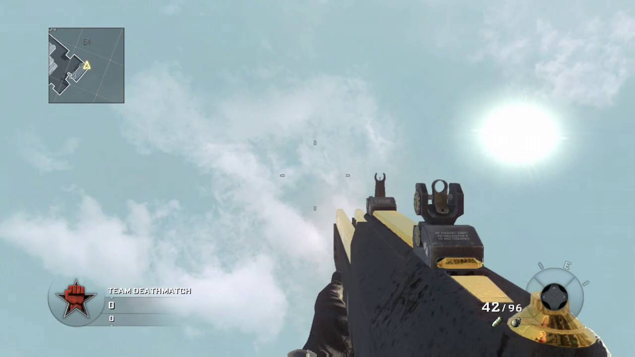 Call of Duty®: Black Ops Gold G11