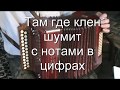 Там где клён шумит с нотами в цифрах