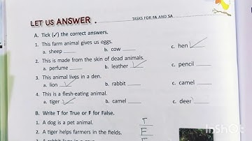 Class 2 ch-12 animals our friends ( exercise)