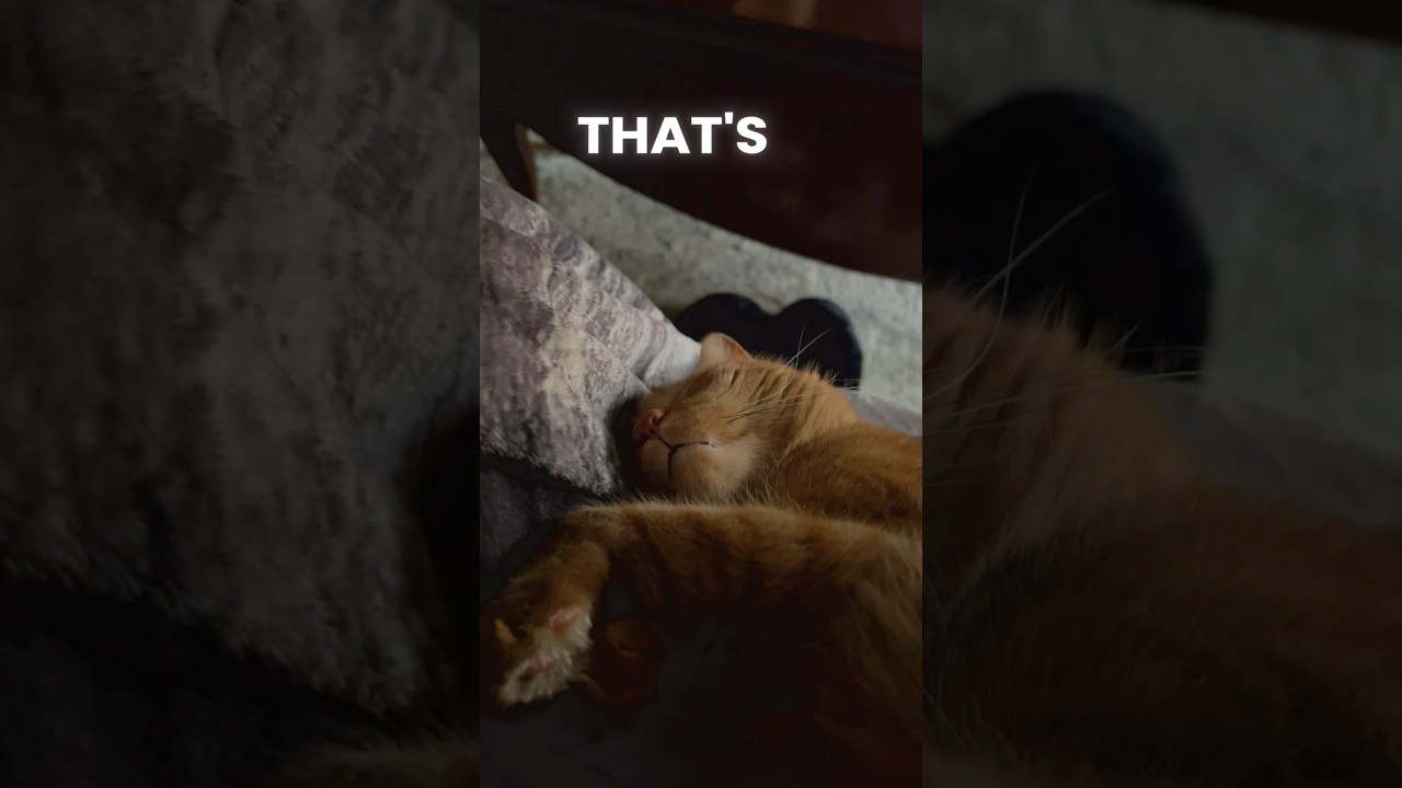 You guys.. Isn’t he adorable!