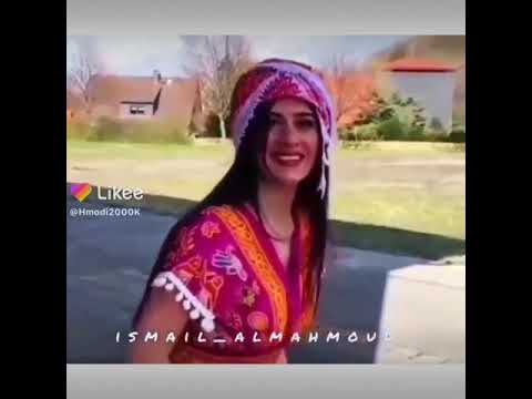 الـطـول عـود الـنـخـل مـعـروف اسـاسـولـوچـه مـثـل الـگـمـر مـحـد تـرا بـاسـو المعدل 