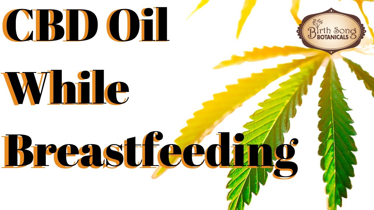 CBD Oil While Breastfeeding Is Cannabis Safe for Lactation? Will CBD Affect My Breastmilk