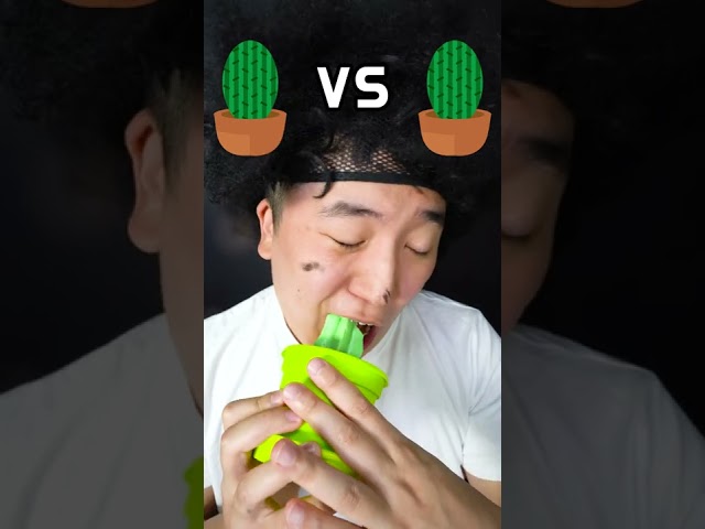REAL FOOD VS JELLY CHOCOLATE FOOD CHALLENGE || TikTok Funny eating Cactus #Shorts class=