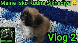 Maine Isko Koodna Sikha Diya Vlog #2 - GREEN GAMING (Lhasa Apso)