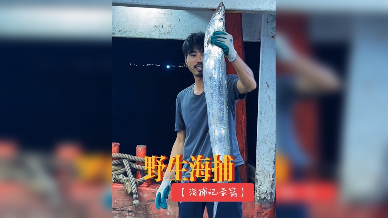 海捕就如开大盲盒，是惊喜或是…？