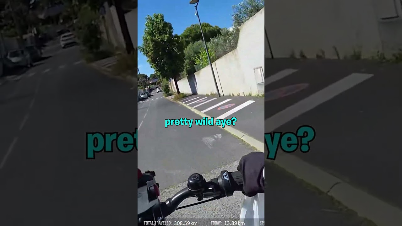 You Encounter Weird Things When Travelling...