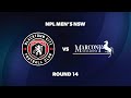 Npl mens nsw round 14 blacktown city fc v marconi stallions fc