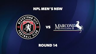 NPL Men’s NSW Round 14: Blacktown City FC v Marconi Stallions FC