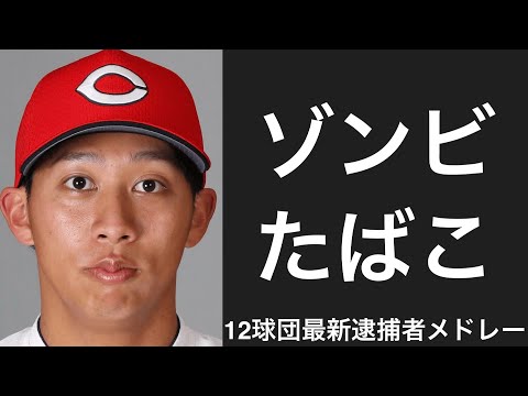 12球団最後の逮捕者応援歌メドレー 2026ver