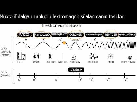 Video: İntensivlik dalğa uzunluğuna təsir edirmi?