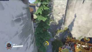 Eichenwalde junkrat flank