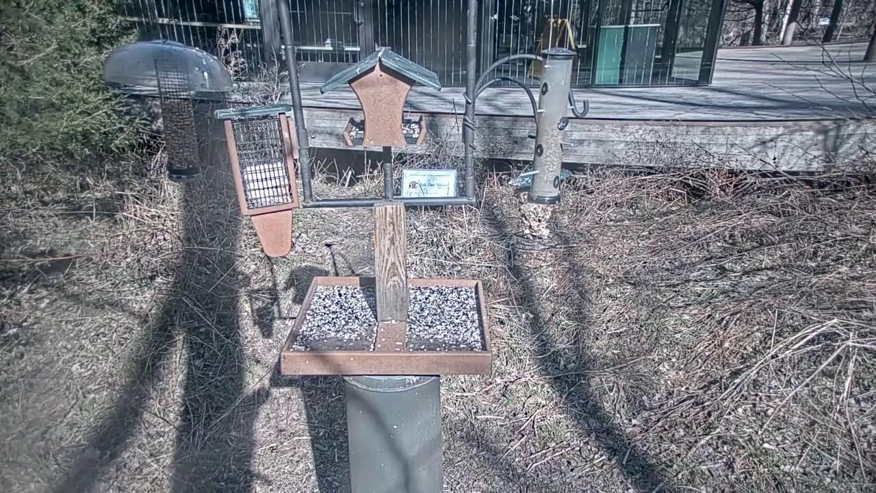 The Wild Birds Unlimited Bird Feeder in the Virginia B. Fairbanks Art and Nature Park