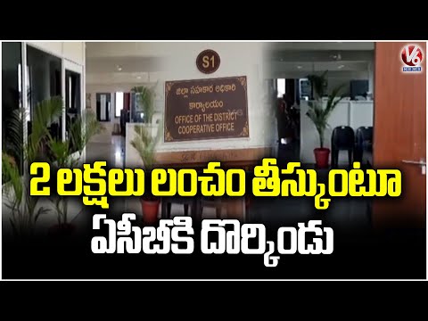 ACB Officials Caught Co-operative Officer While Taking Bribe | Mancherial | V6 News - V6NEWSTELUGU