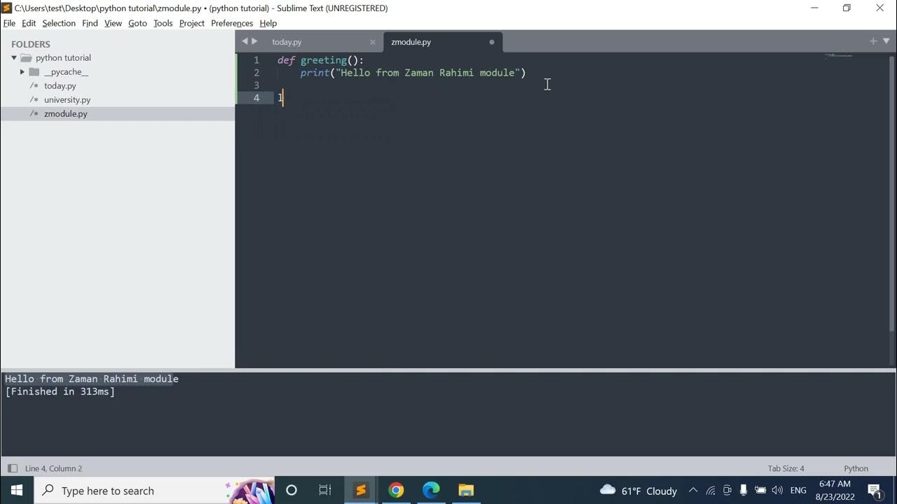 Discord user python. Discord user python
