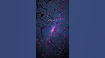 قرآن كريم |QURAN| واقم الصلاة طرفى النهار وزلفا من الليل |سورة هود| #_قرآن #الله #حالات_واتس #_دعاء