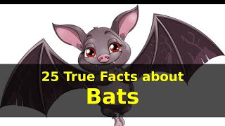 25 True Facts About Bats For Kids With Audio Nonatv