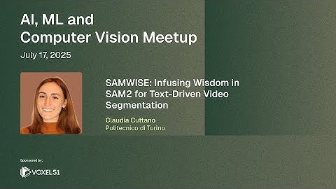 SAMWISE: Infusing Wisdom in SAM2 for Text-Driven Video Segmentation