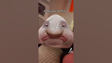 Fun blob facts ☝️🤓 #blobfish #blob #fish #facts #actually
