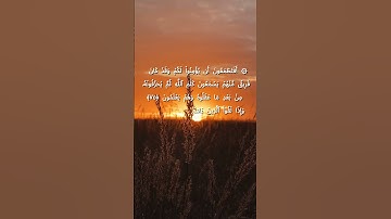 #سورة_البقرة #المصحف #الشيخ_فارس_عباد #اكسبلور #راحة_نفسية #العلم #duet #قران #تيك_توك #لايك #لايك