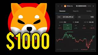 $1000 in Shiba Inu Coin #shibainu