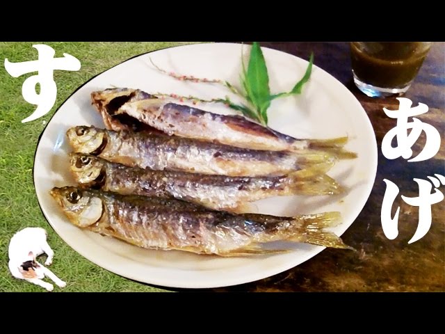オイカワを釣って食う 蓼醤油で素揚げ River Fishing Catch Eat Youtube