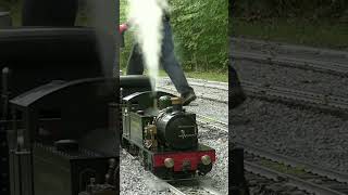 Black Creek Scenic Railway #43004 simmers as it waits for its next run
