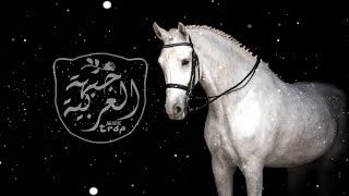 Ashk Jaded - Abdullah Al Farwan ( FG REMIX ) عشقٍ جديد -  بدر العزي وعبدالله ال فروان