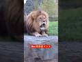 motar saykil se rning sher #trending #funny #viral #comedy indrajeet577