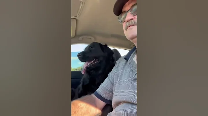 Driving with my best friend
