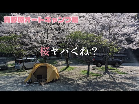 【ソロキャンプ】桜エグっ・・・in 青野原オートキャンプ場 ~前編~ 【Japan】