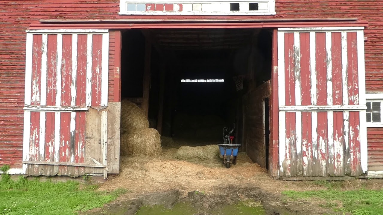 Do You Live In A Barn Youtube