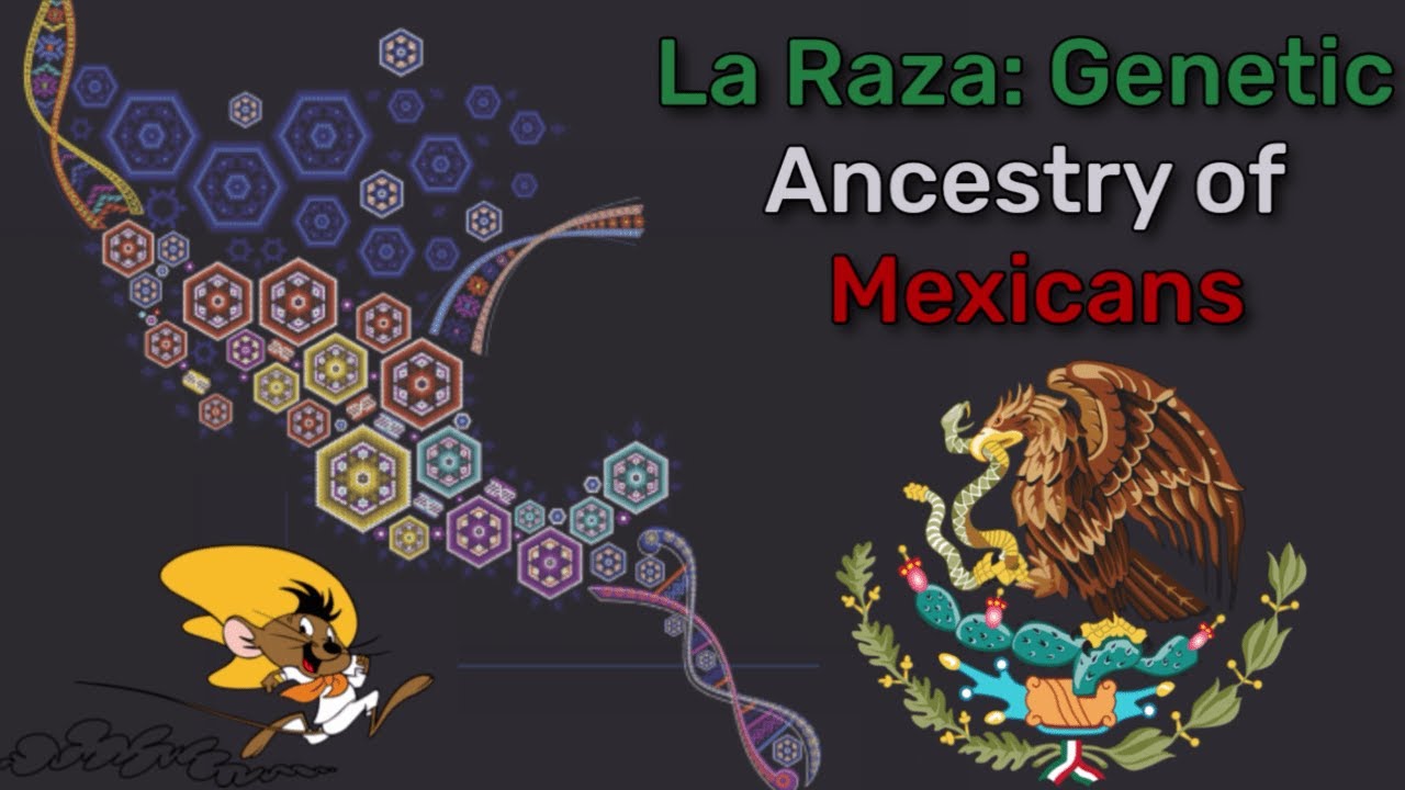 La Raza Genetic Ancestry Skin Tone Of Mexicans YouTube La Raza Genetic Ancestry Skin Tone Of Mexicans YouTube