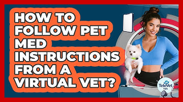 How To Follow Pet Med Instructions From A Virtual Vet?